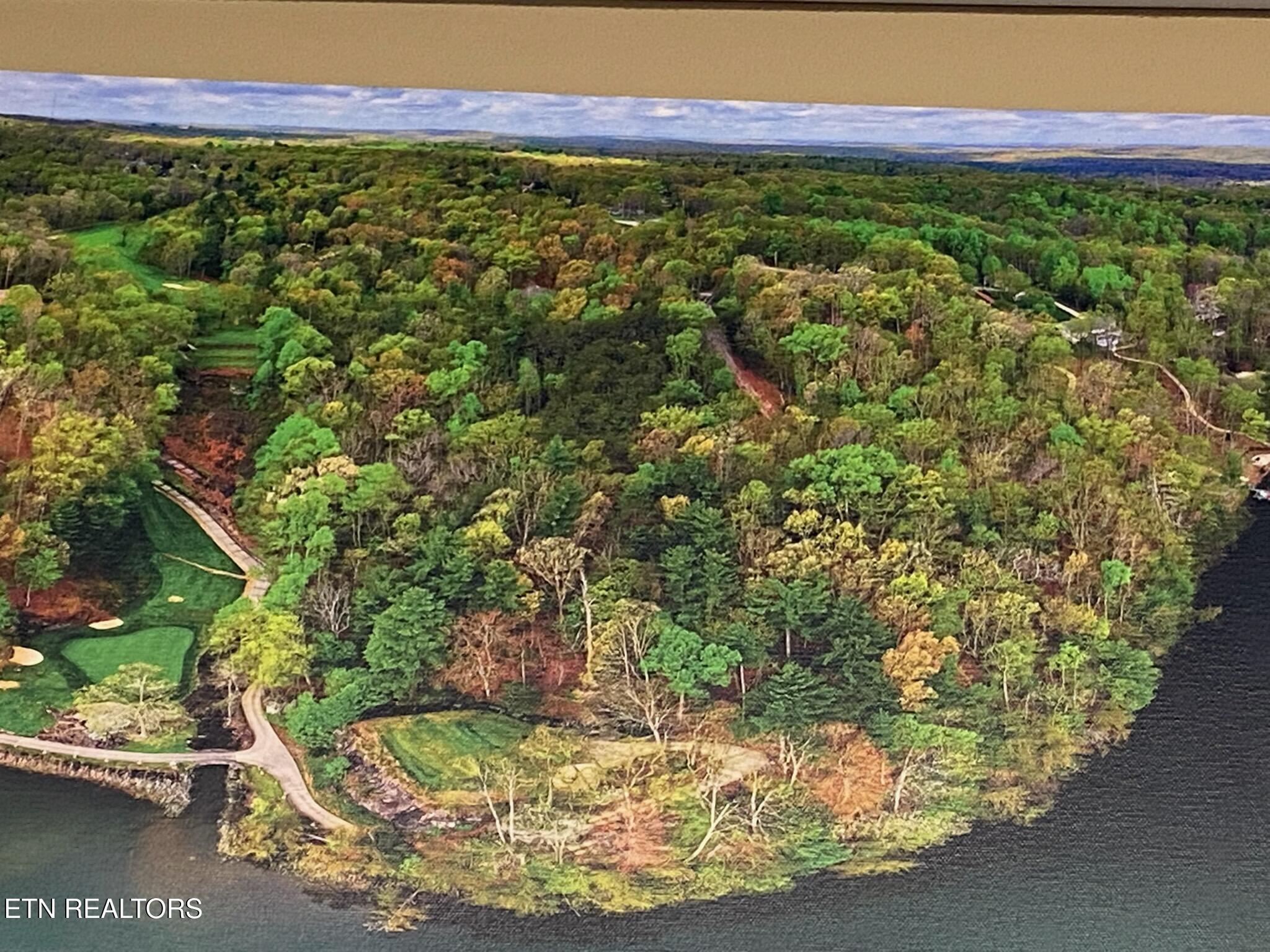 Image 4: PANORAMIC VIEW