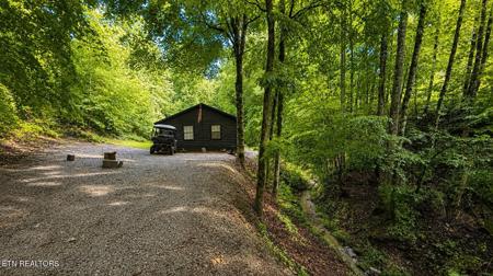 204 Black Fox Harbor Rd
