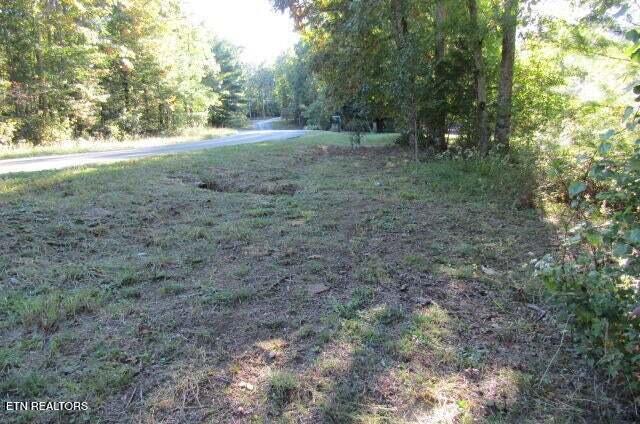 Image 3: 9007 Cherokee At Road