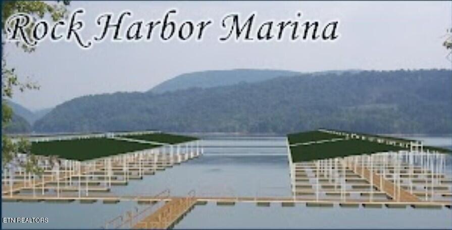 Image 4: Marina