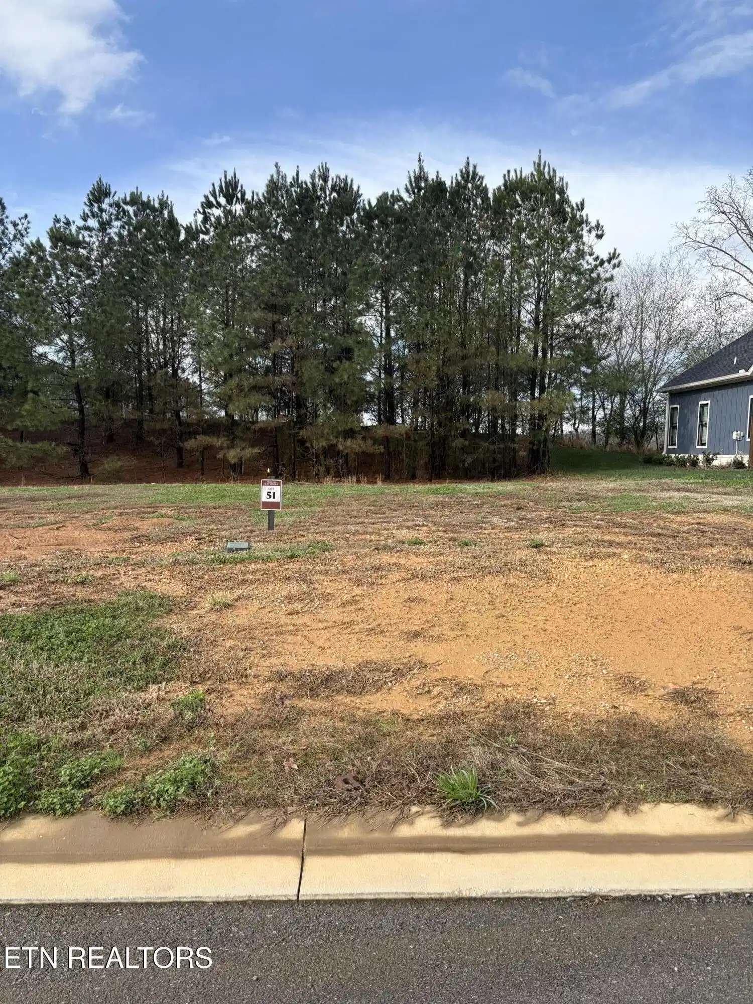 Image 1: 51 lot