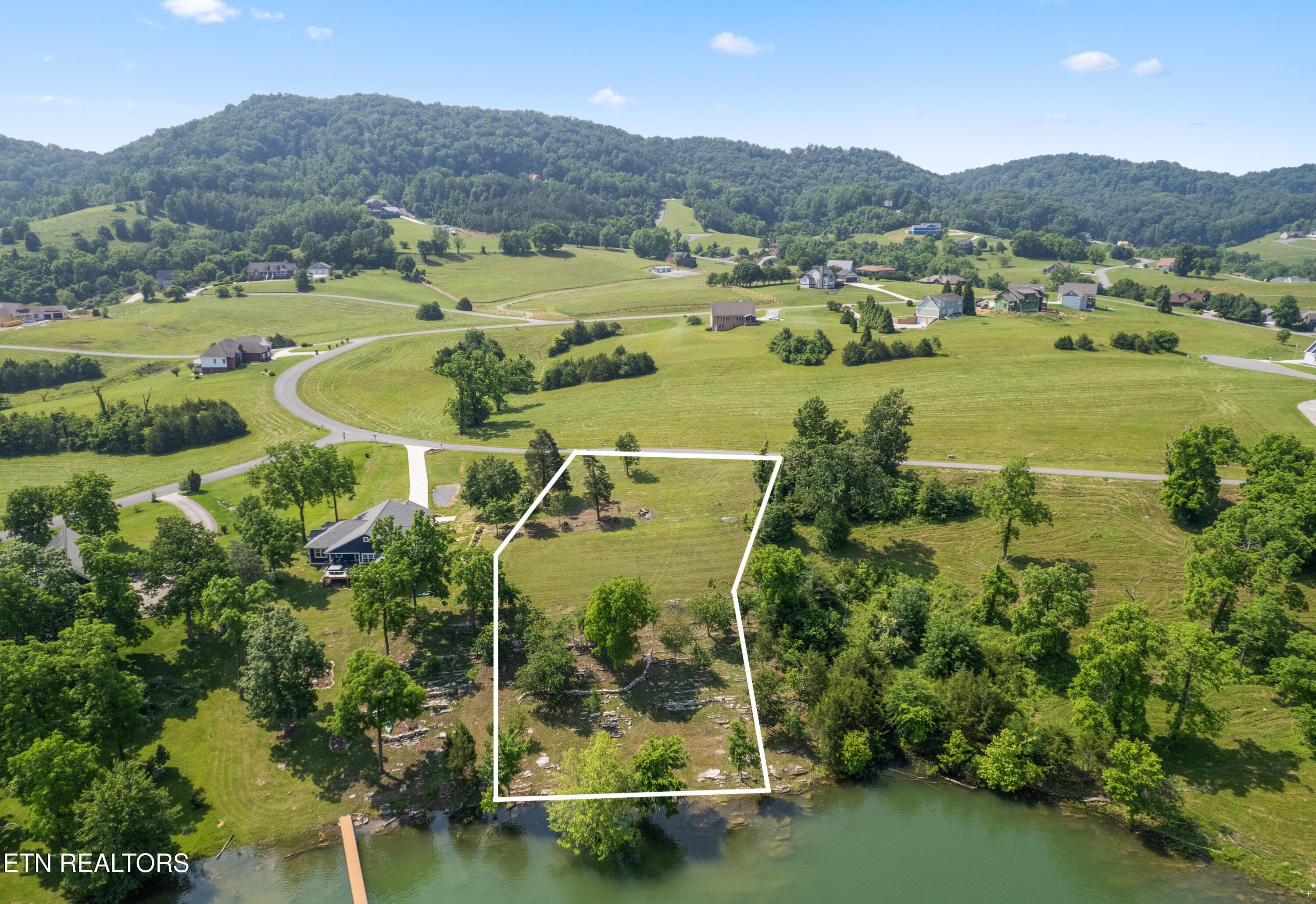 Image 3: Lot 20