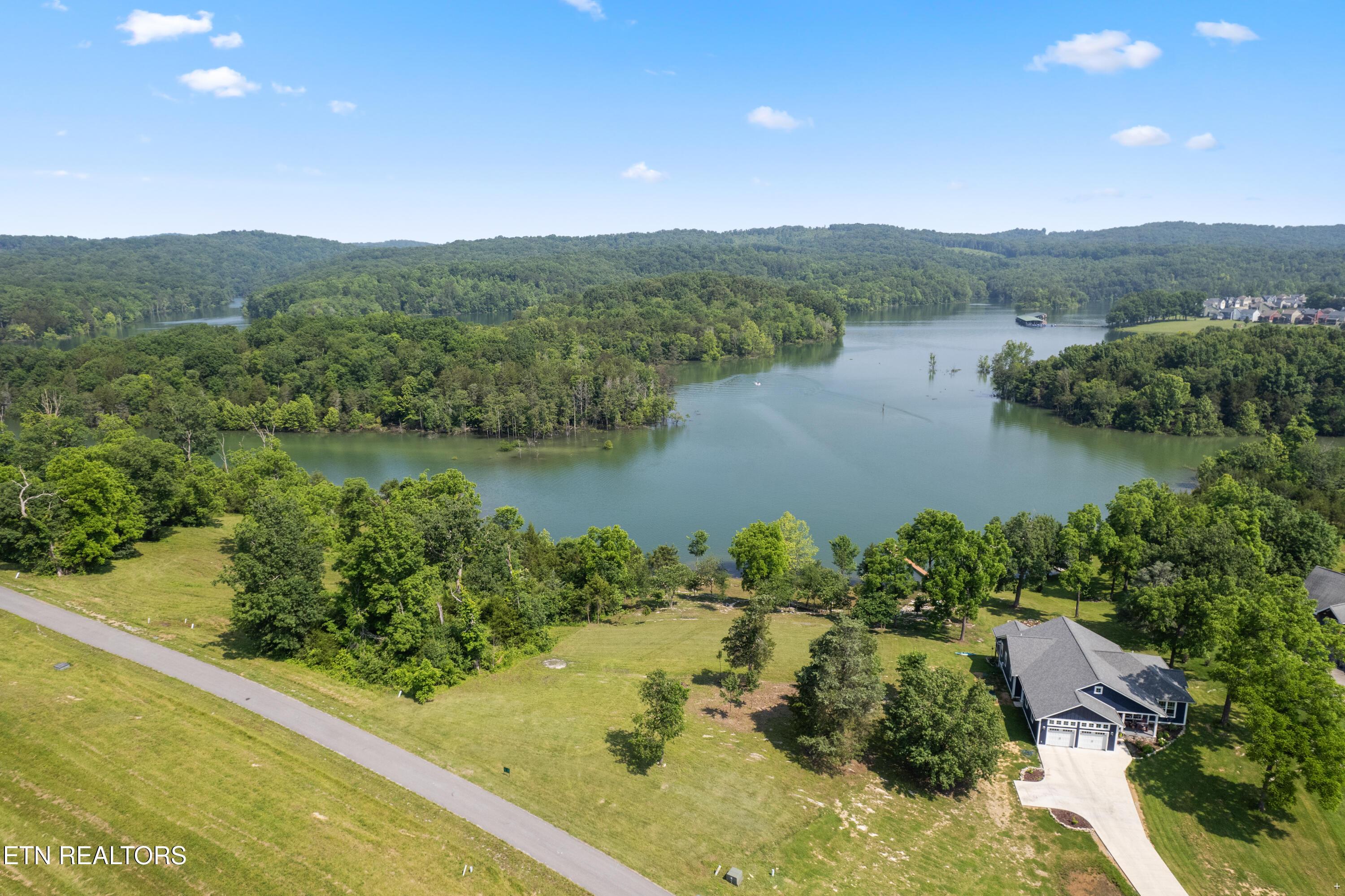 Image 4: Lot 20