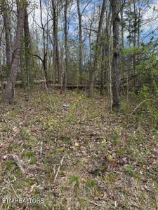 Clear Springs Rd