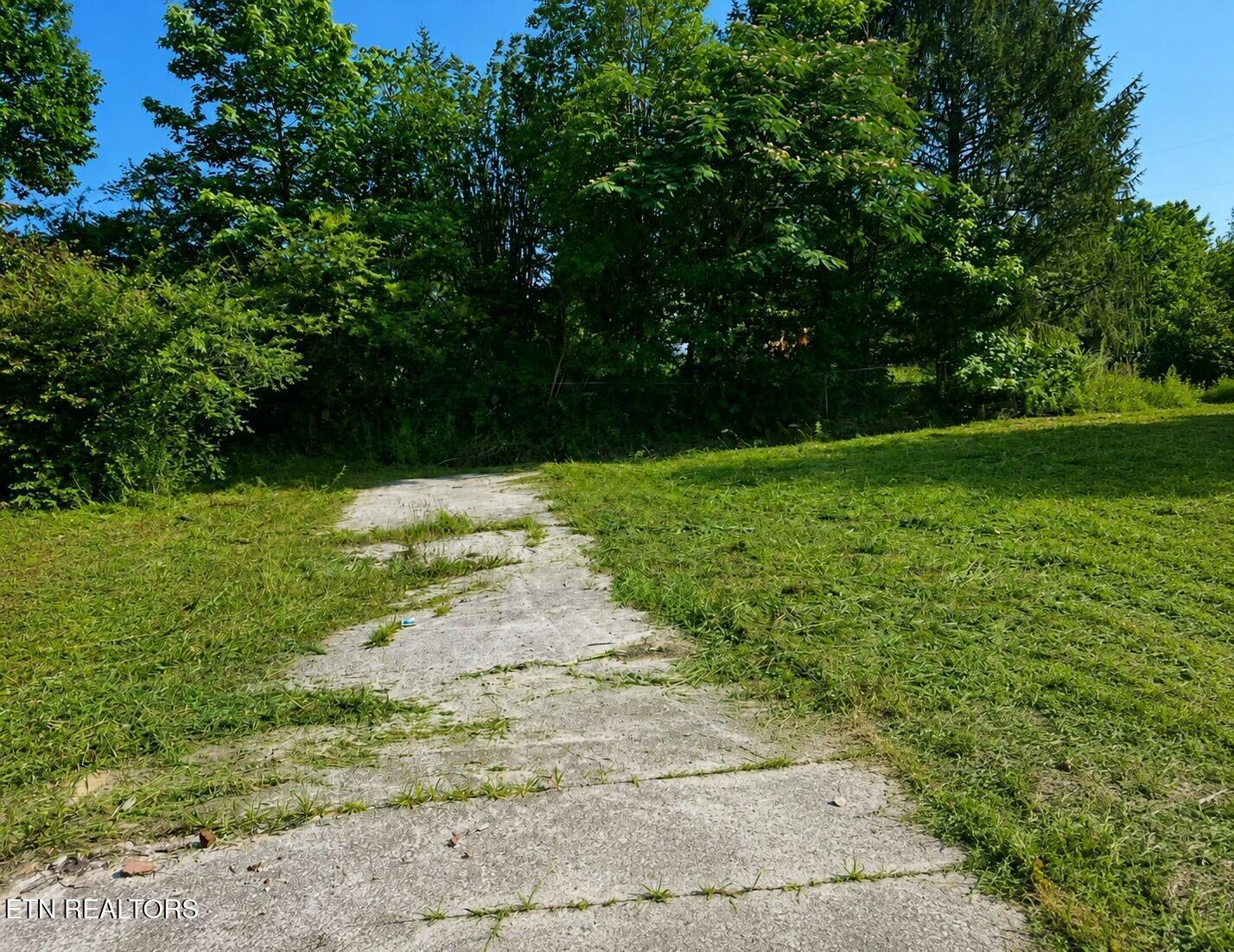 Image 1: lot1