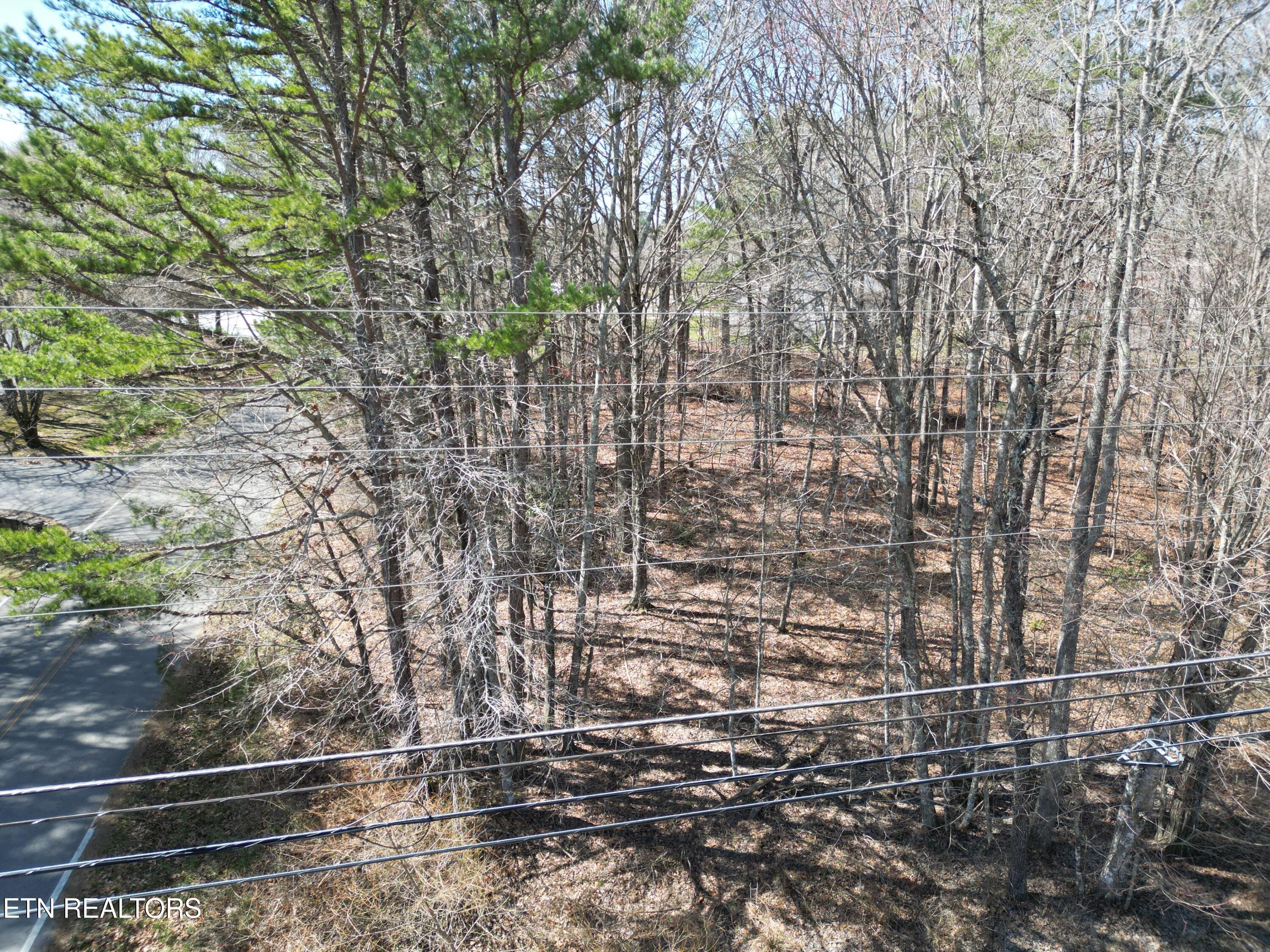 Image 2: DJI_0378