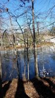129 Brantenwood Circle 16