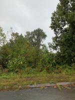 Lot 192 Pheasant View