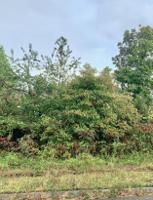 Lot 178 Lakeshore Drive