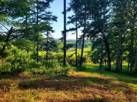 Oak Grove Rd