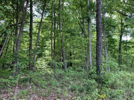 110 Folkstone Rd