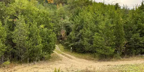 Image 3: 6