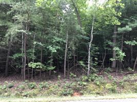 179 Lynhurst Drive