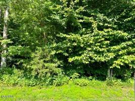 Lot 3 Golanvyi Tr