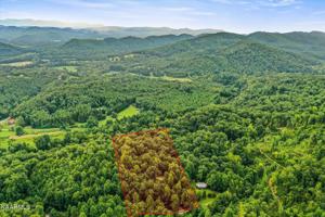 221 Tellico Camp Road