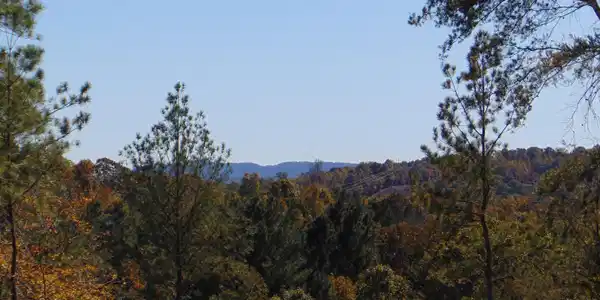15D-5 Cameron Road