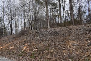 Lot 17 Jones Ridge Rd