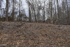 Lot 21 Jones Ridge Rd