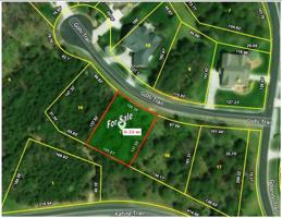 Lot 15 Gohi Tr 15