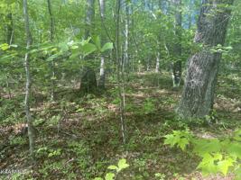 132 Windcrest Rd
