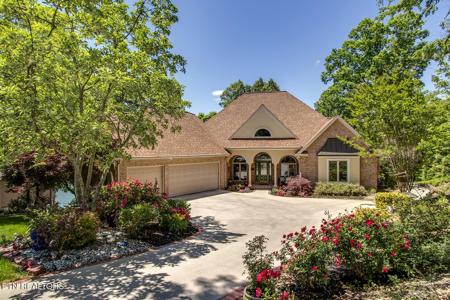 207 Amega Trace