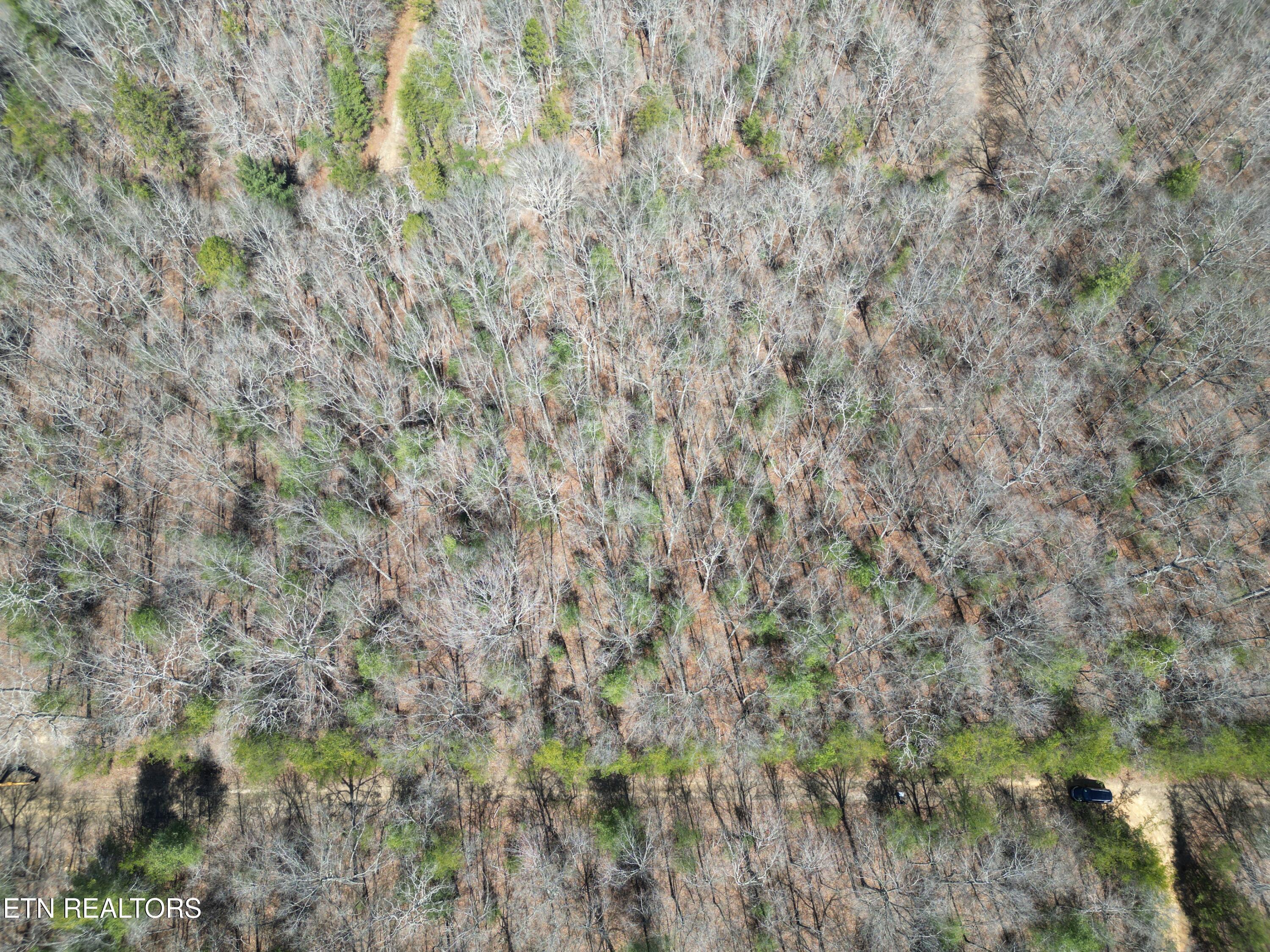 Image 1: DJI_0384