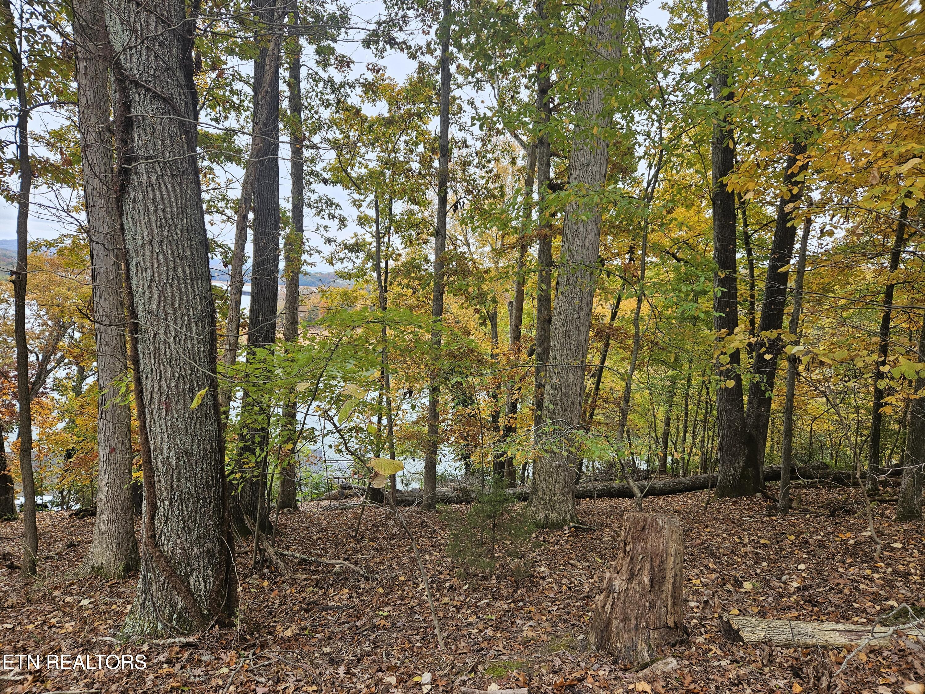 Image 1: lead photo