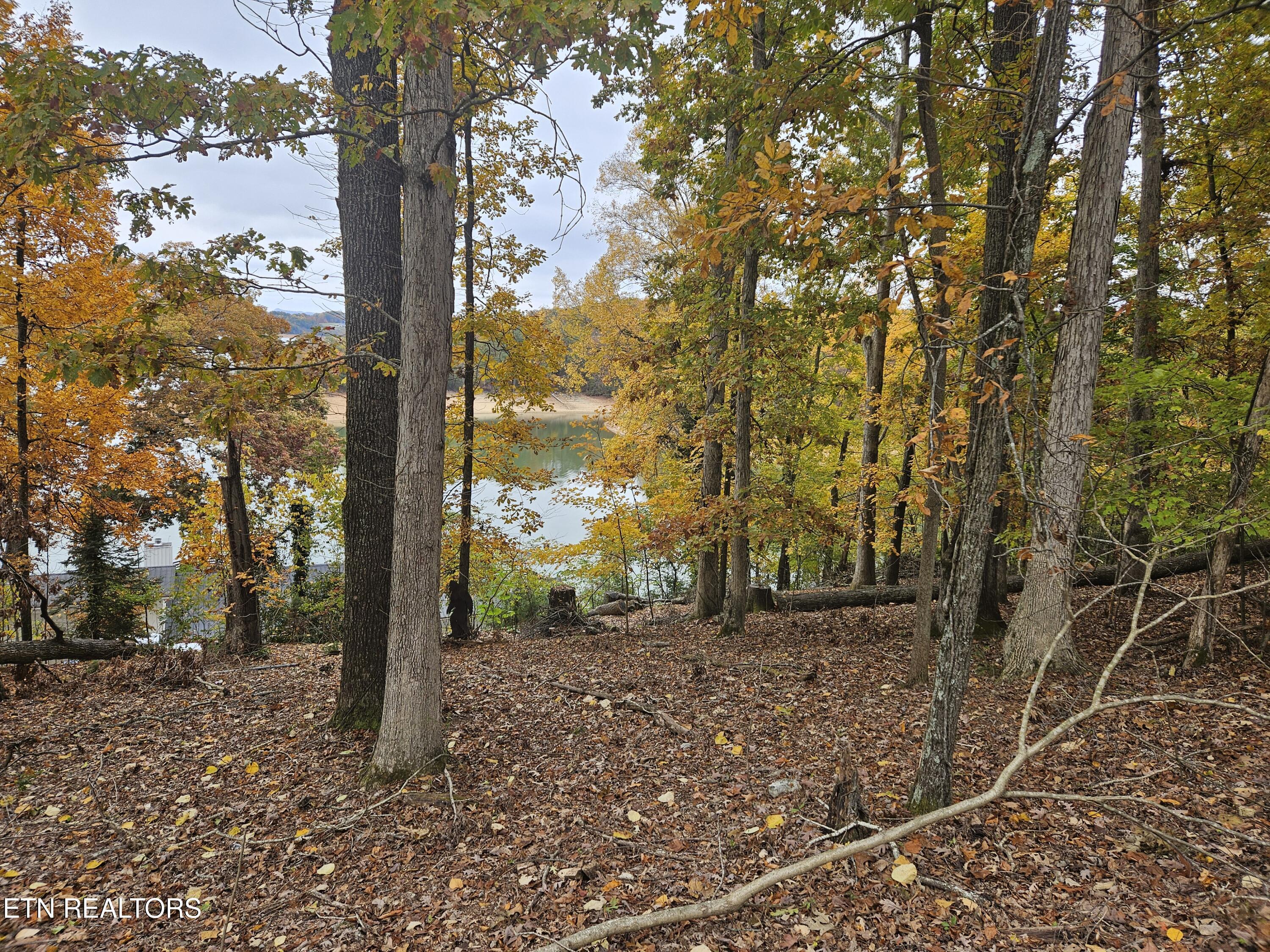 Image 2: view of water