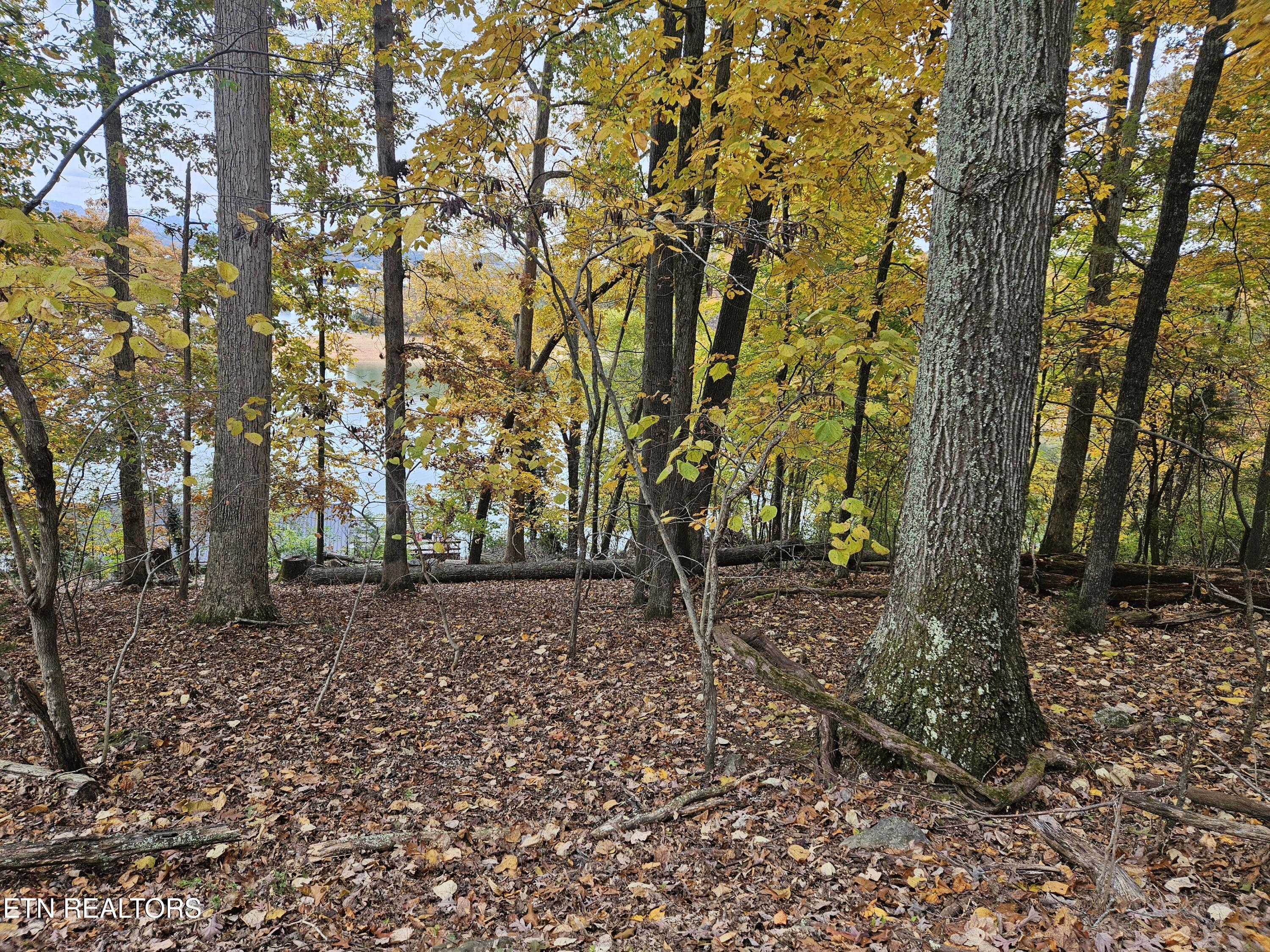 Image 3: lakeview Fall