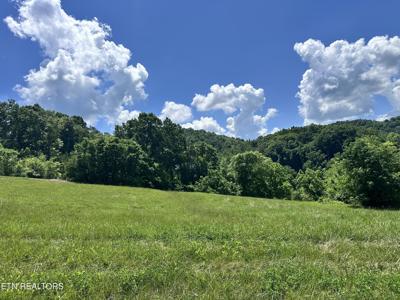 Lot 161R Garfield Lane