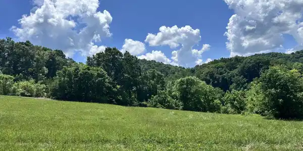 Lot 161R Garfield Lane