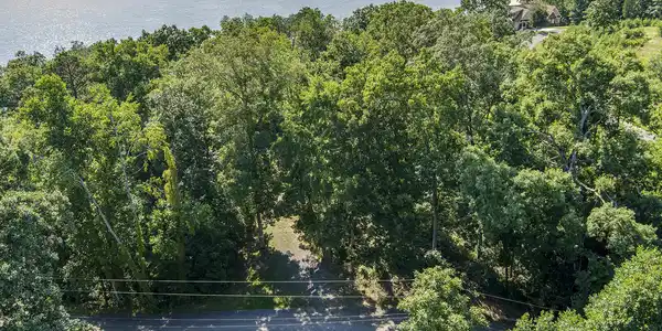 564 Bonne Vista Drive