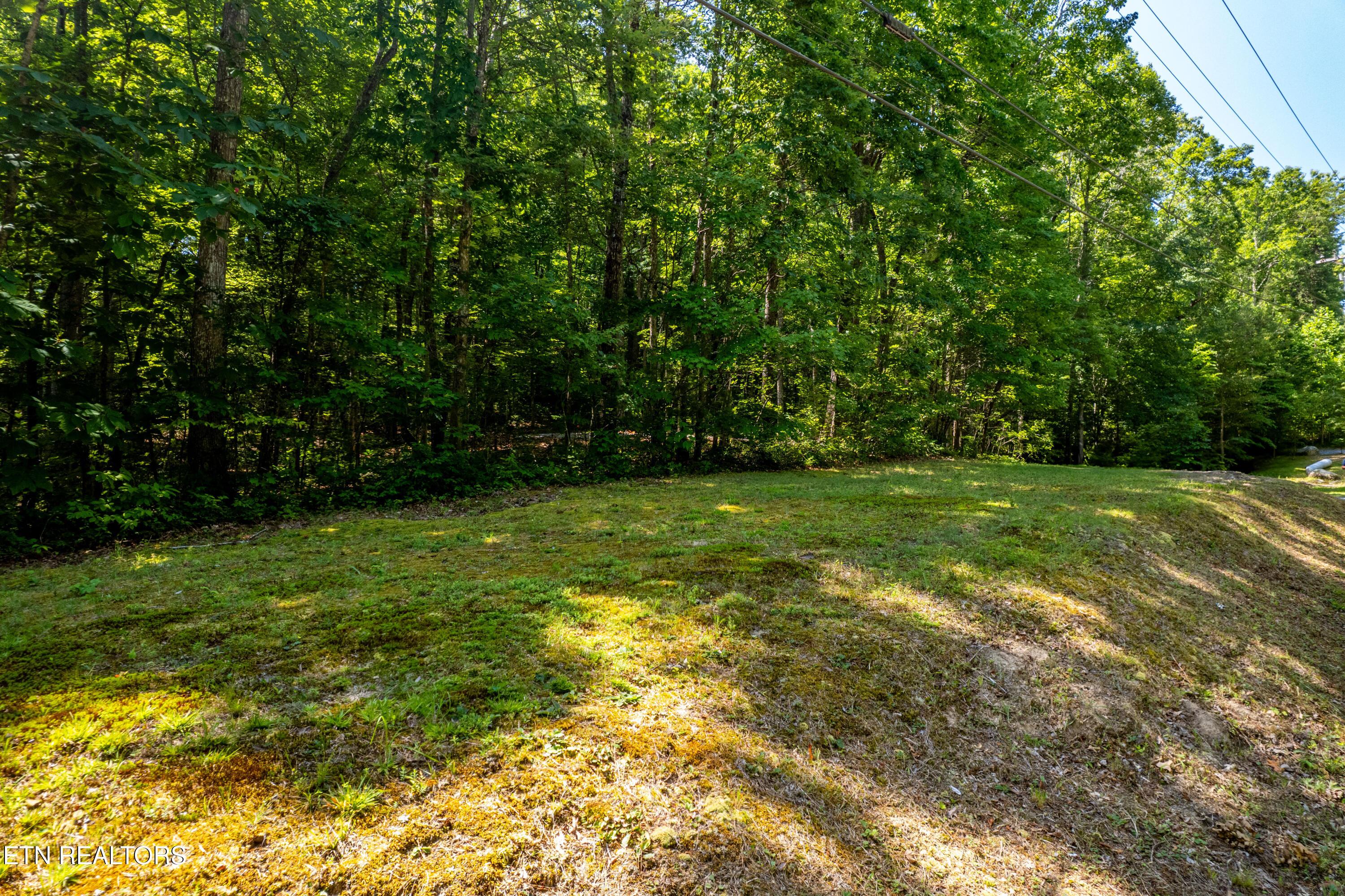 Image 2: lot18,19,20BearRd-2