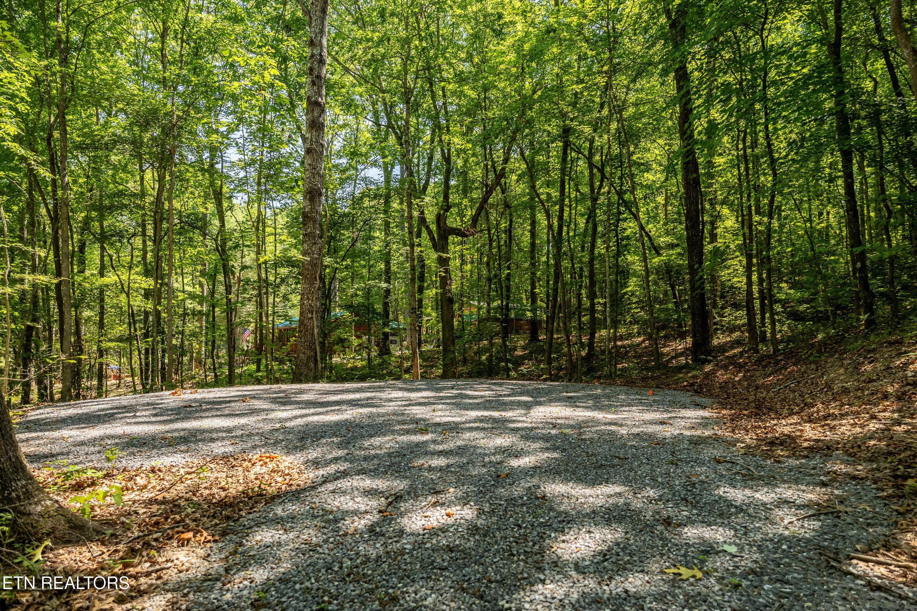Image 3: lot18,19,20BearRd-33