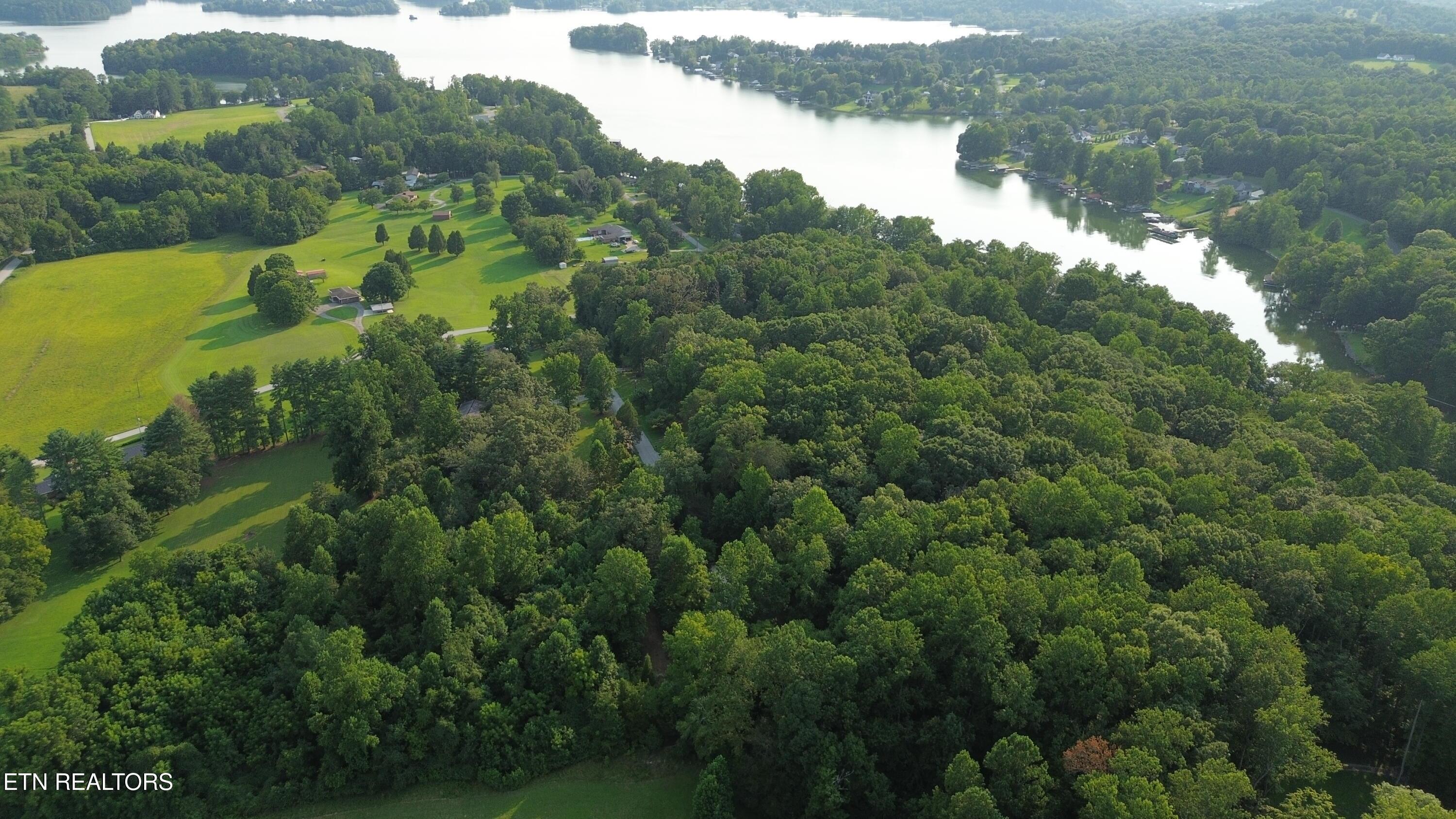 Image 3: DJI_0479