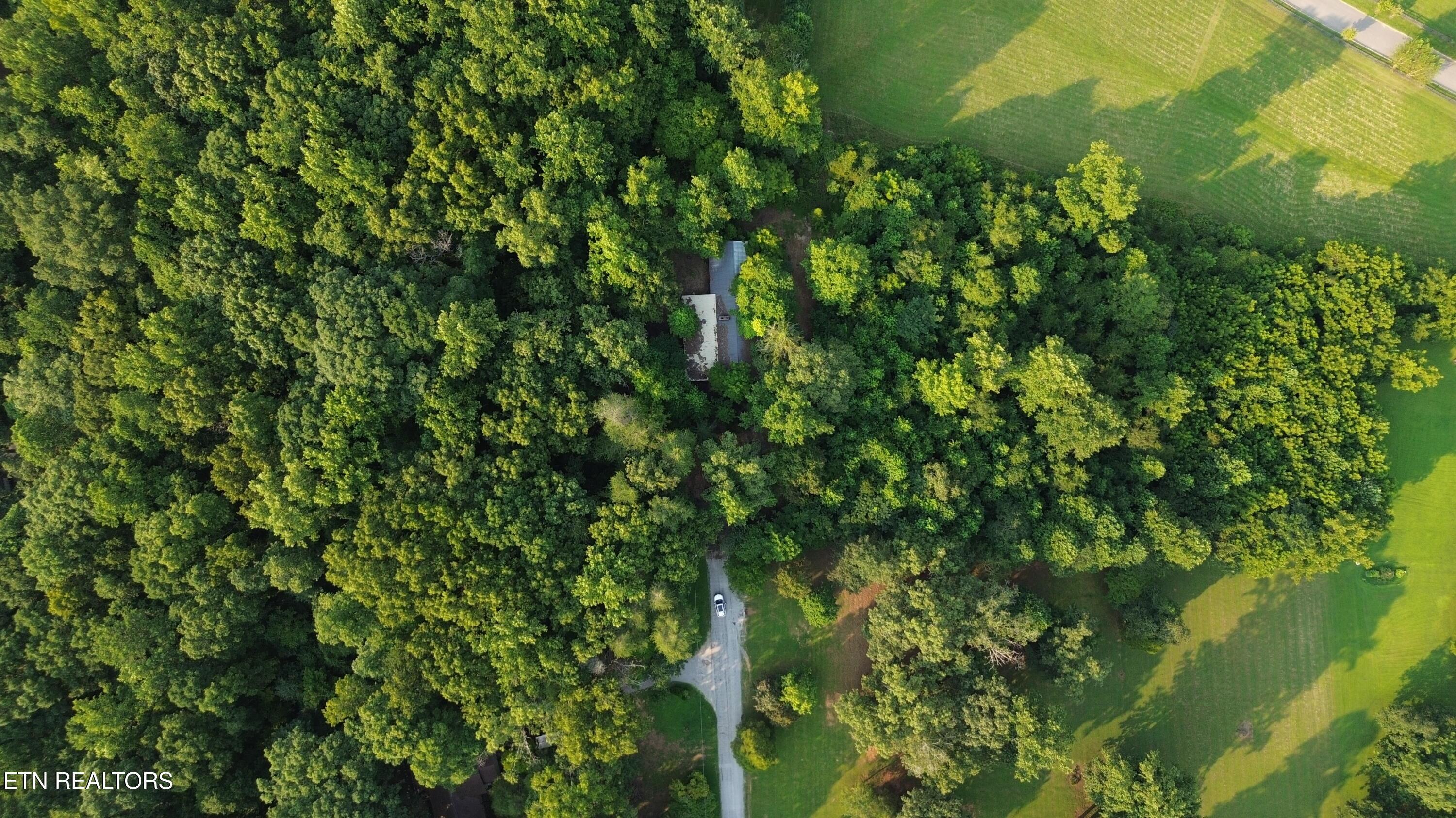 Image 4: DJI_0505