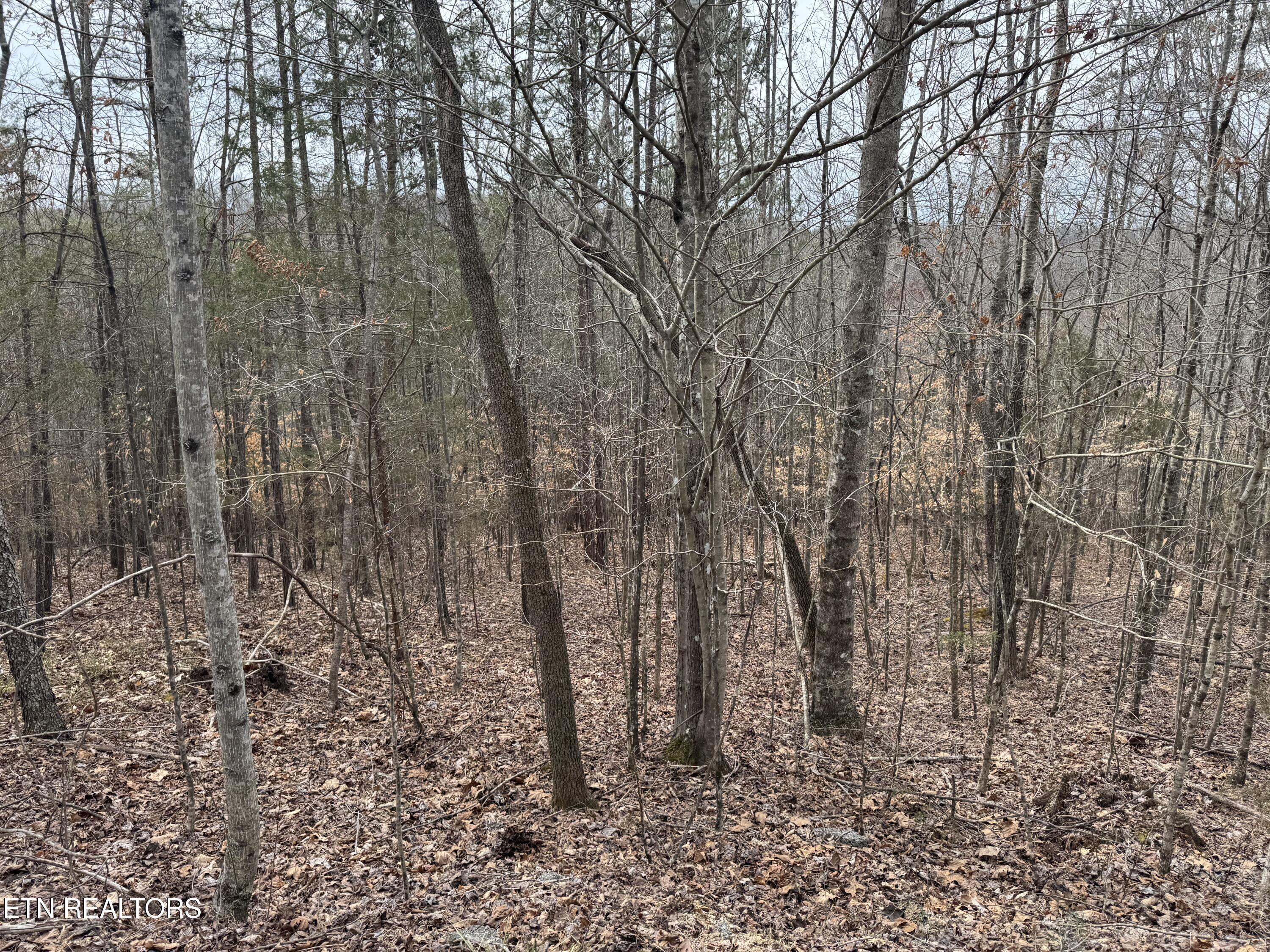 Image 3: IMG_5480