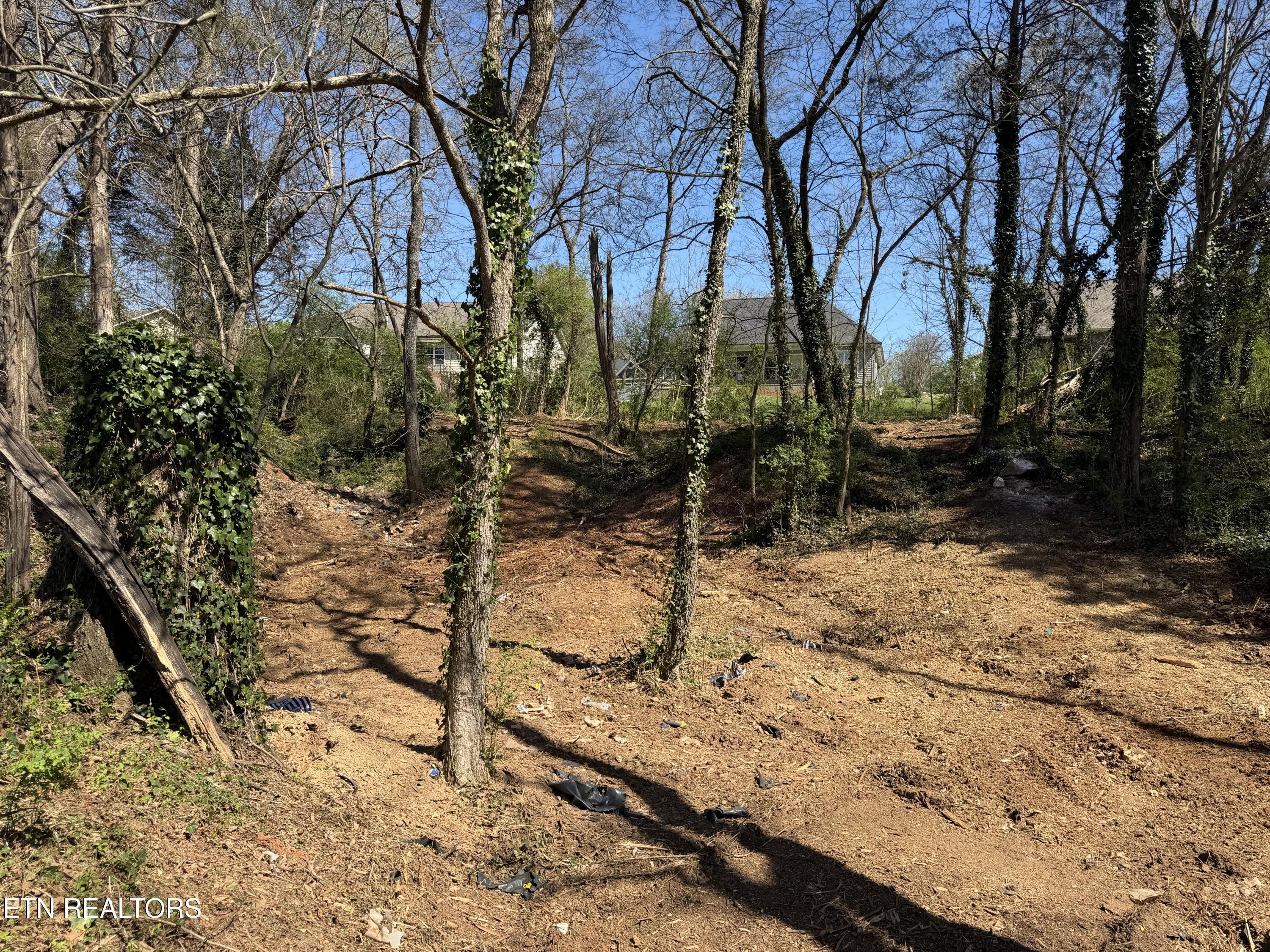 Image 2: IMG_0489
