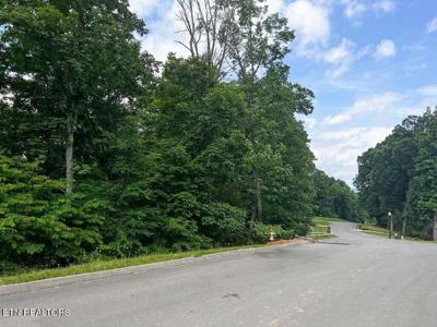 1955 Turner Landing Rd