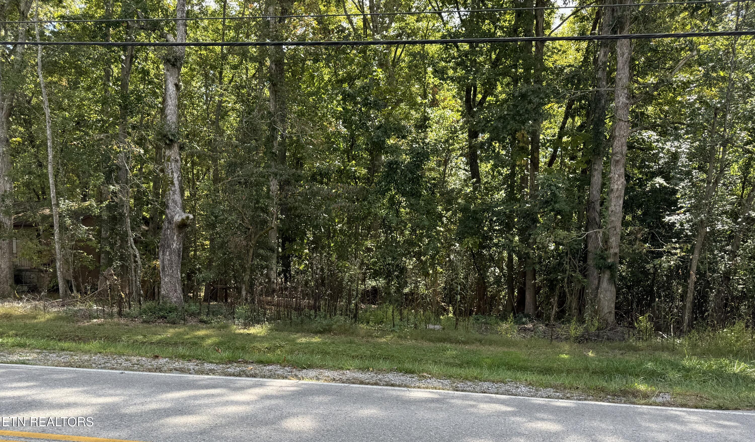 Image 3: IMG_9054