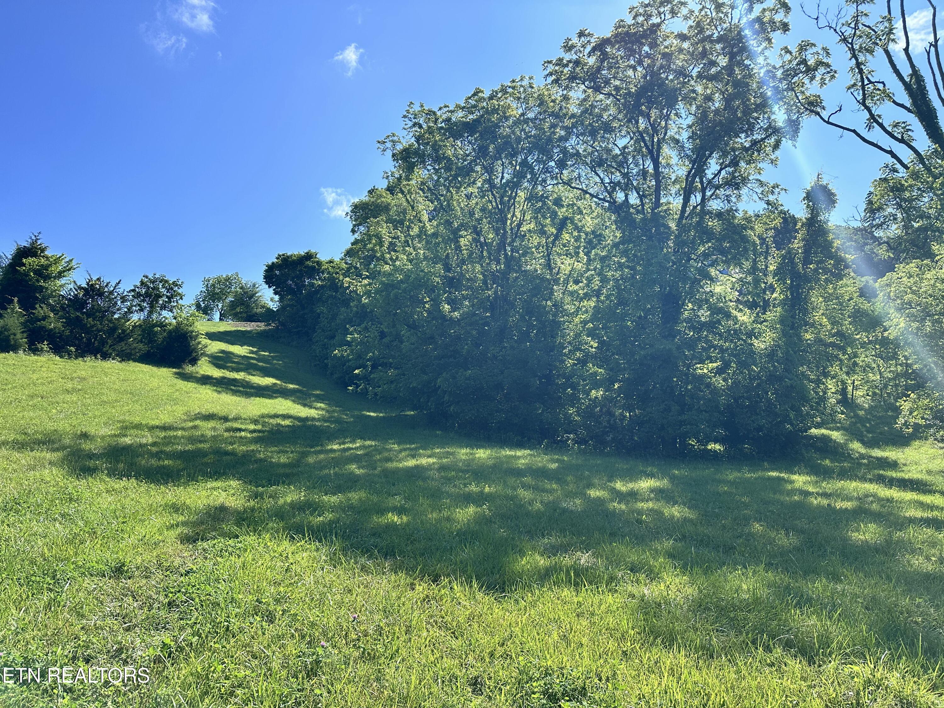Image 2: Lot 161R