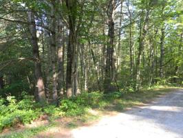 29 Hunterwood Court 375