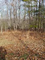 12 Clason Point 23