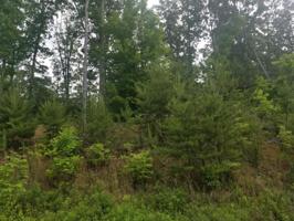 Lot 33 Bayside Blvd