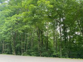Lot 25 Cove Norris Rd