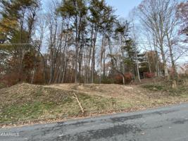 Orchard Knob Rd