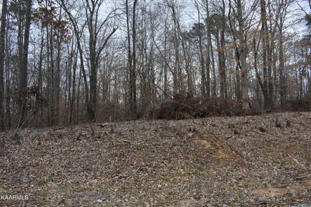 Lot 10 Jones Ridge Rd