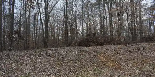 Lot 10 Jones Ridge Rd
