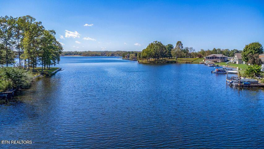 Image 2: Water Skiing Lake