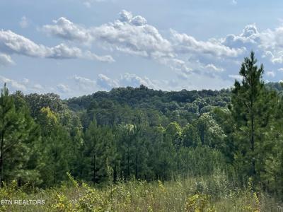 Ridgeline Drive